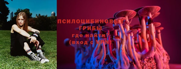 спайс Белокуриха