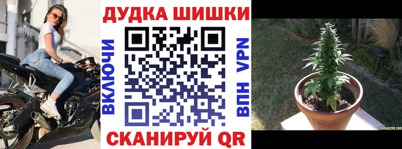 Бошки Шишки THC 21%  Купить закладки  Тогучин 